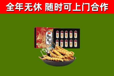 义县回收冬虫夏草价格